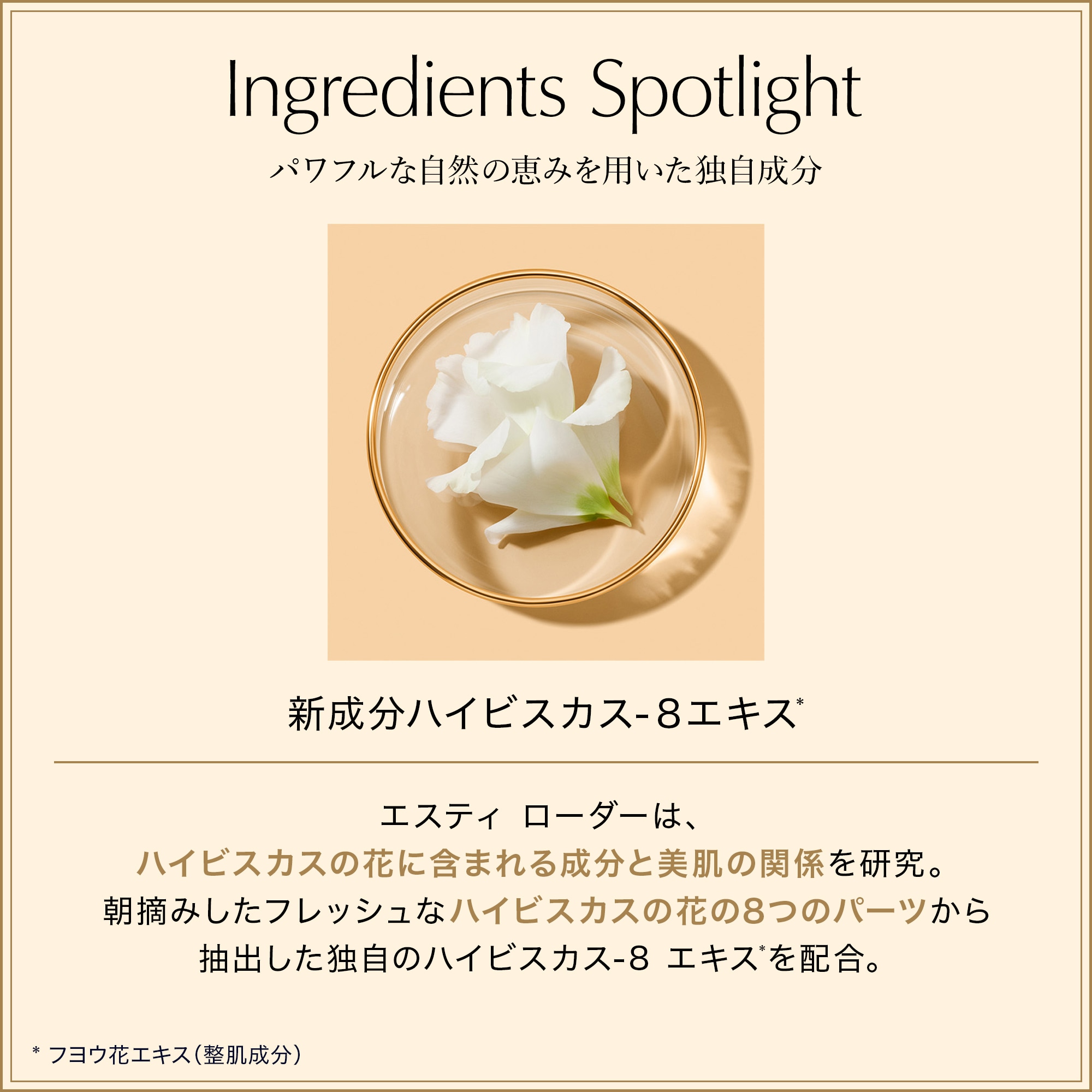新品未使用　ESTEE LAUDER シュプリームプラスYPクリーム シュープリーム プラス YP クリーム | エイジングケア クリーム