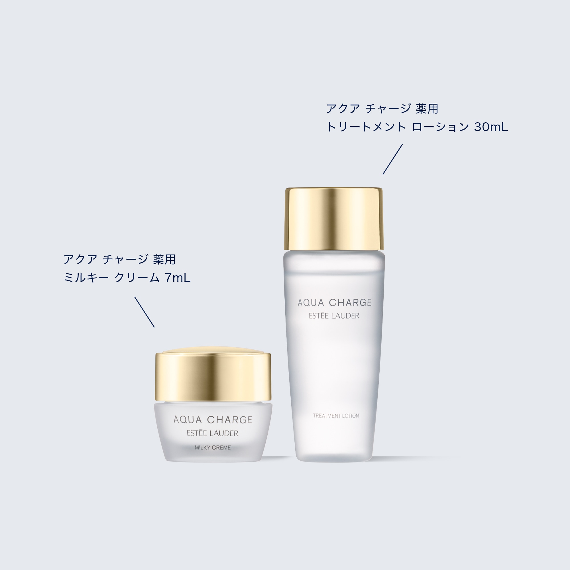 ダブル ウェア セット | エスティ ローダー Estée Lauder 公式
