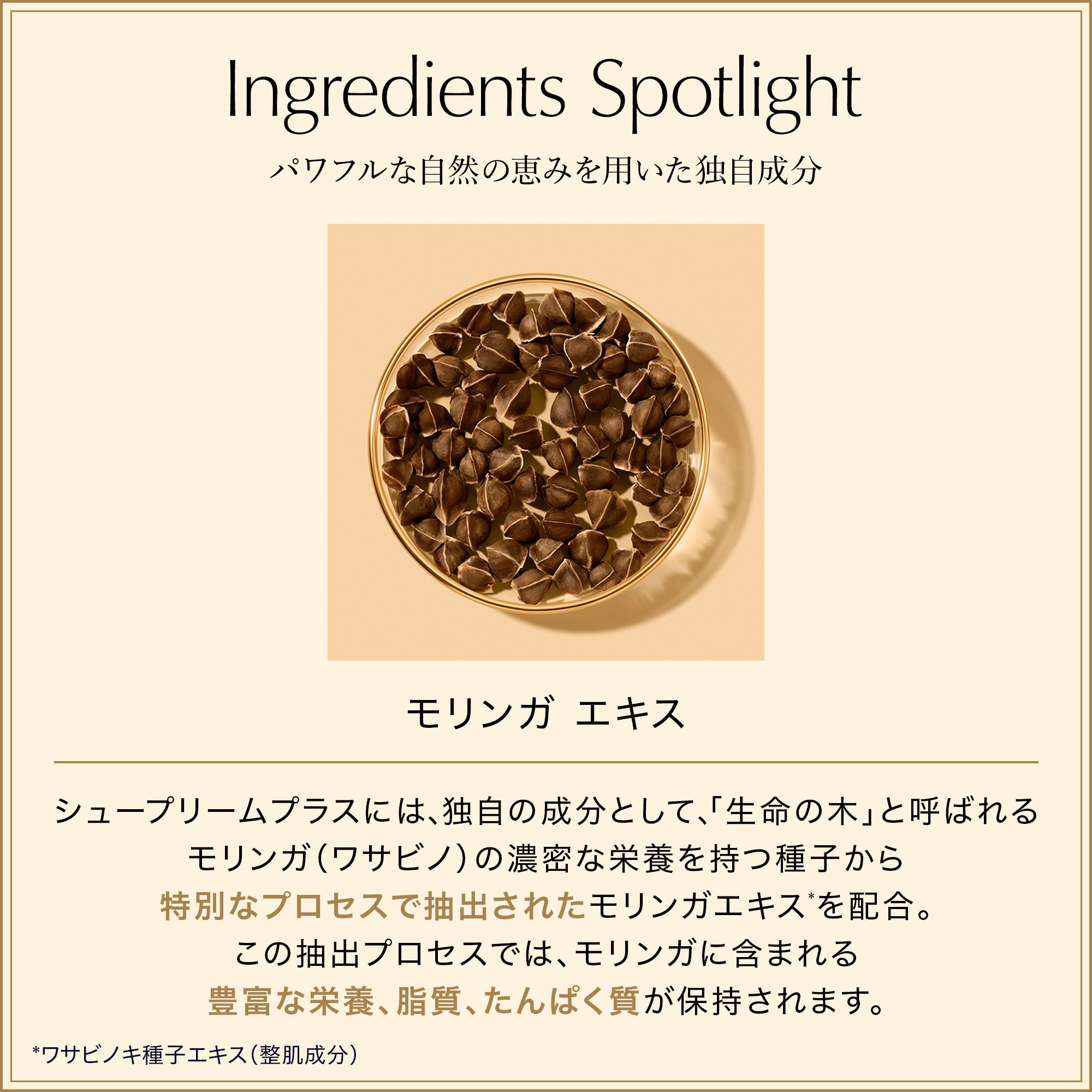 公式オンライン 限定セット（シュープリーム プラス YP クリーム
