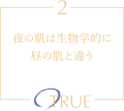 夜の肌は生物学的に昼の肌と違う TRUE